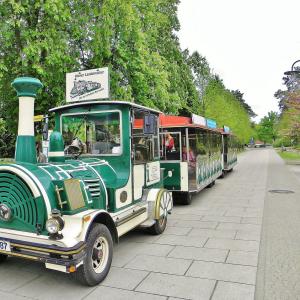 Bad Saarow